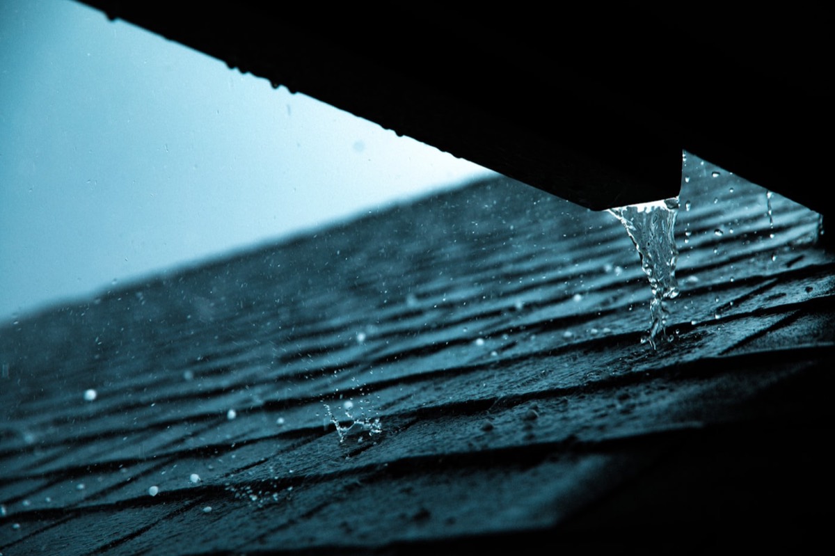 Rain shedding cleanly off new asphalt shingles